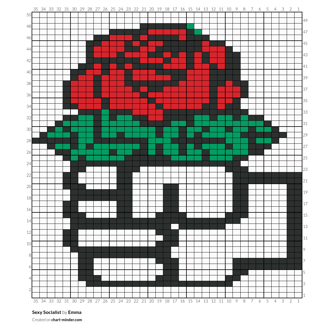 Sexy Socialist 