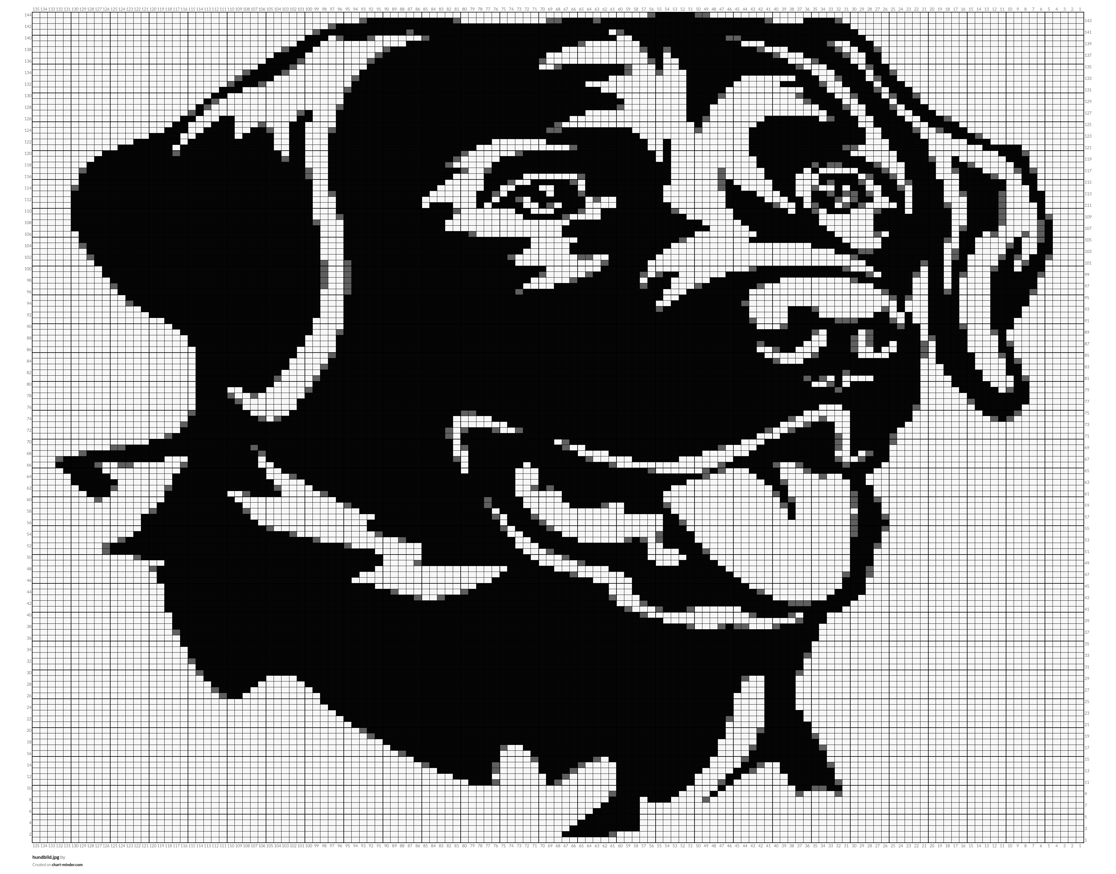 hundbild.jpg