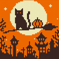 Kitty on Broom