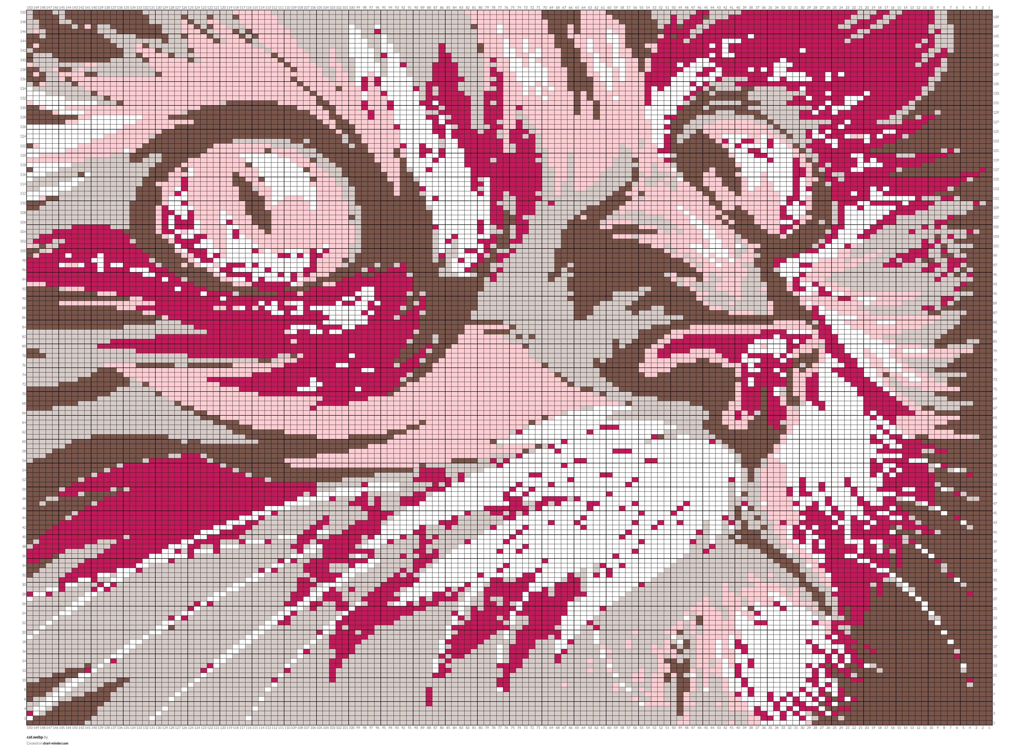 cat.webp