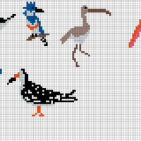 birds hat