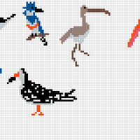 birds hat