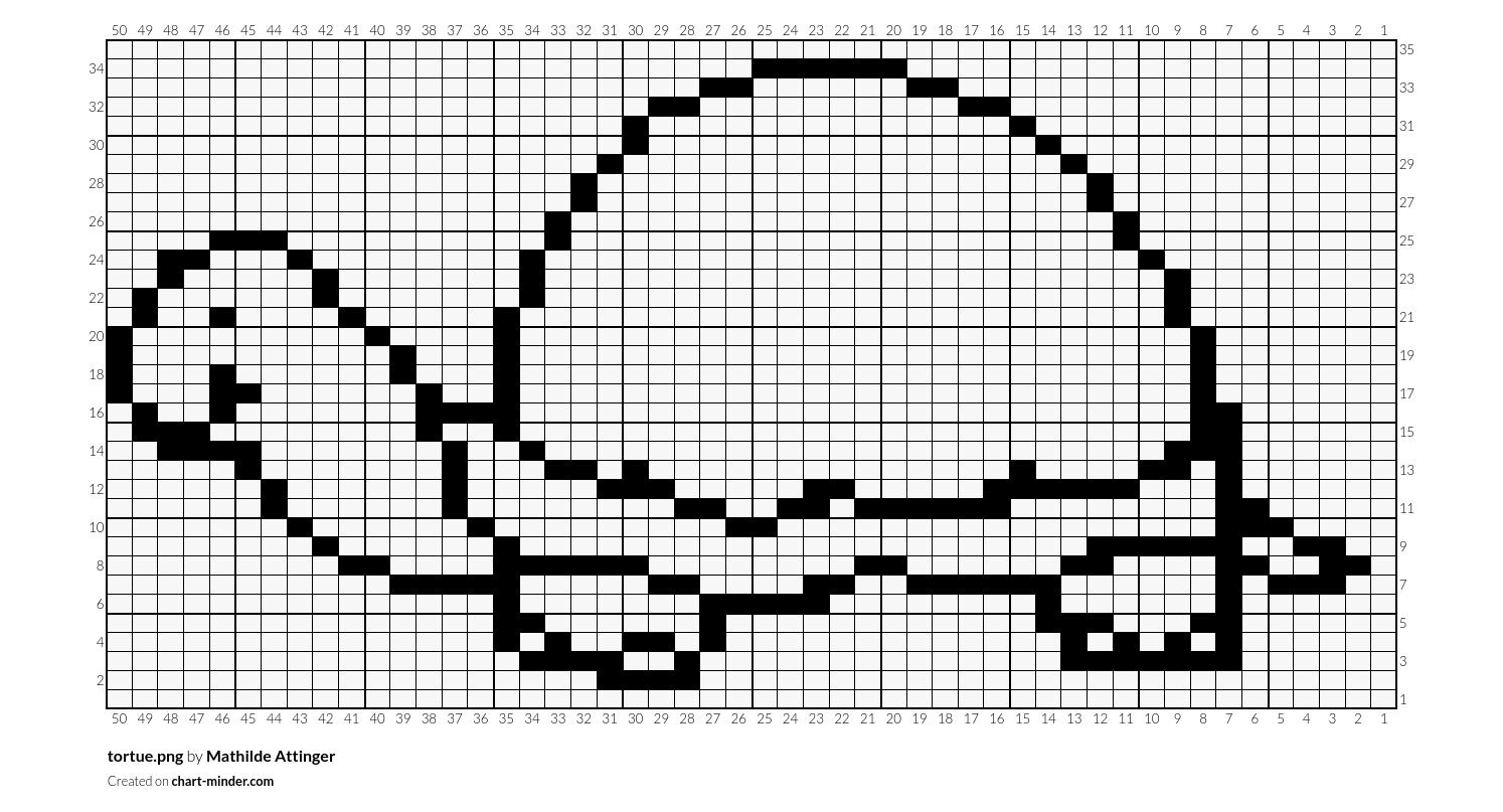 tortue.png