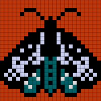 moth
