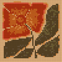 IMG_4069.jpeg