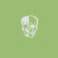 Hannah's Skull Hat