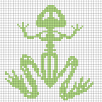 frog skeleton