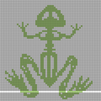 frog skeleton