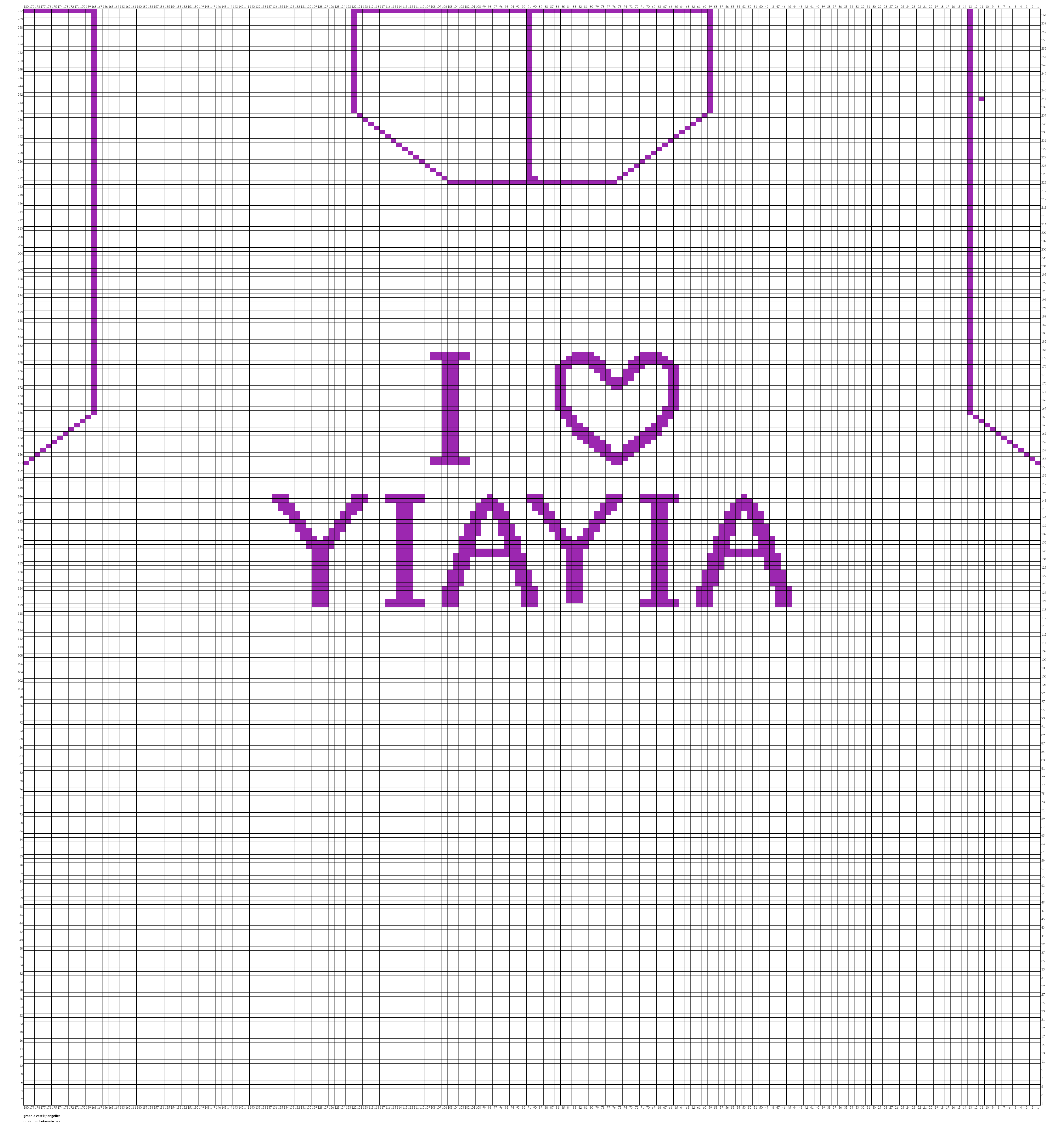 graphic vest
