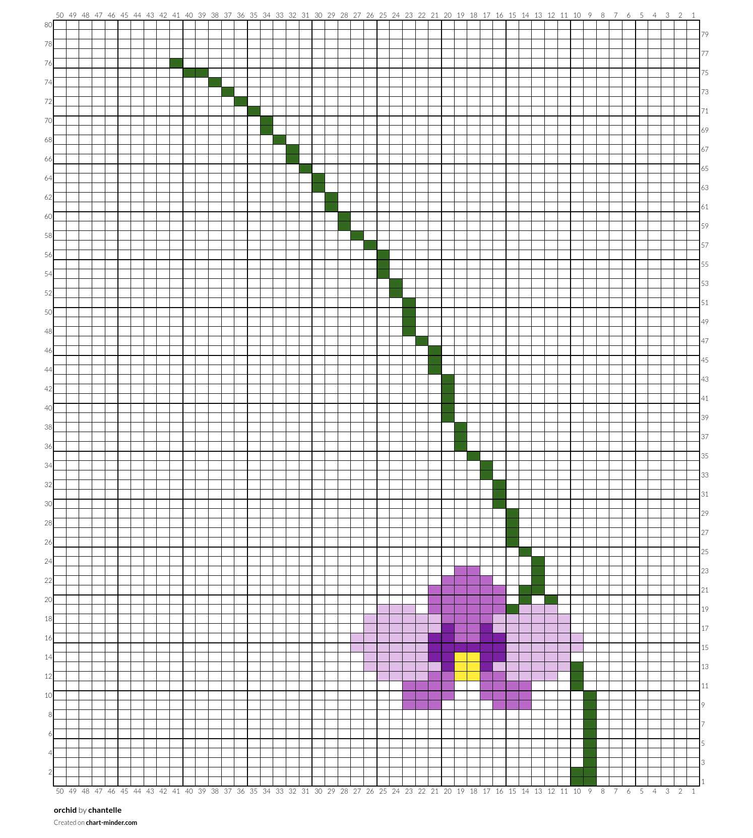 orchid