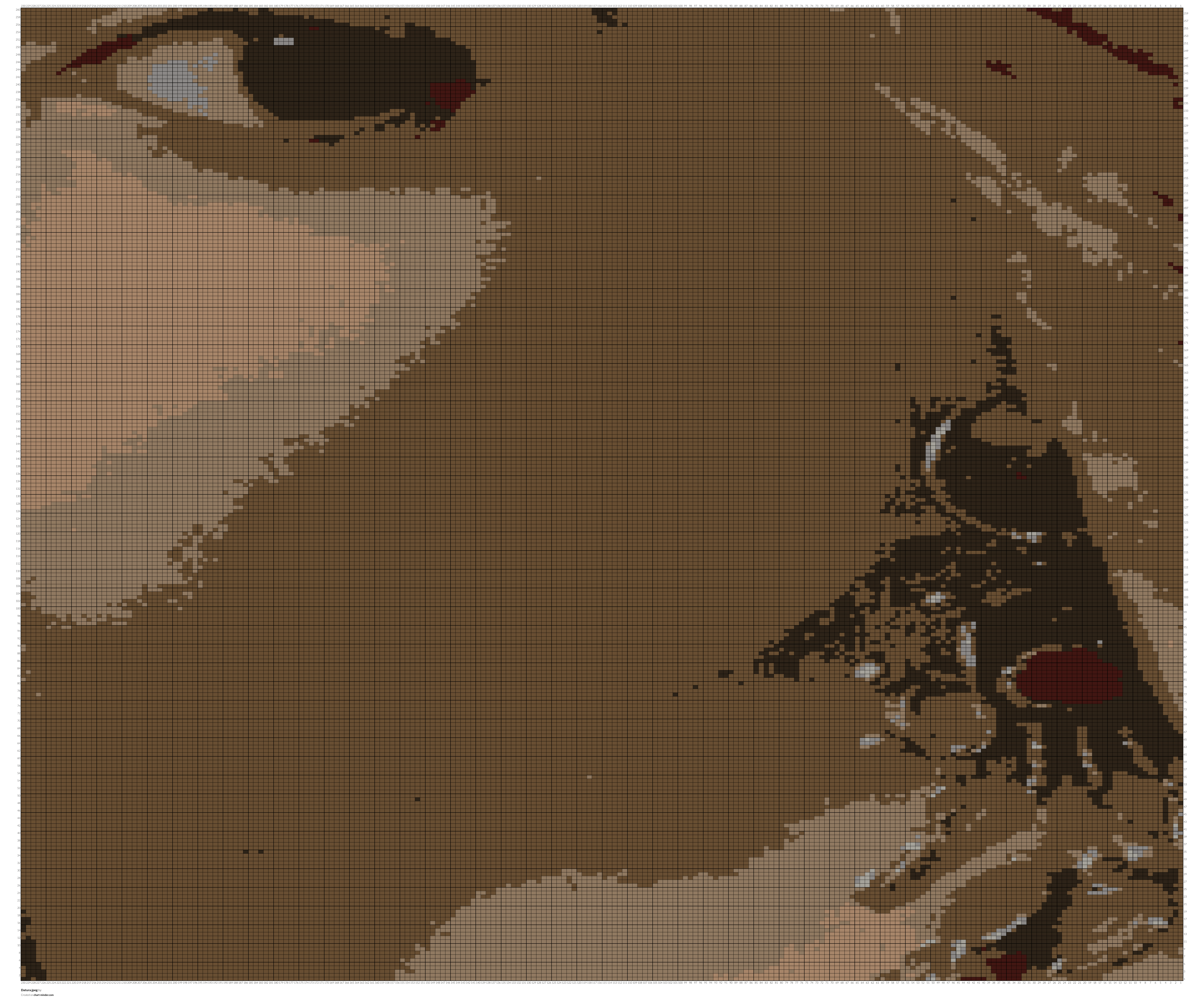 Datura.jpeg