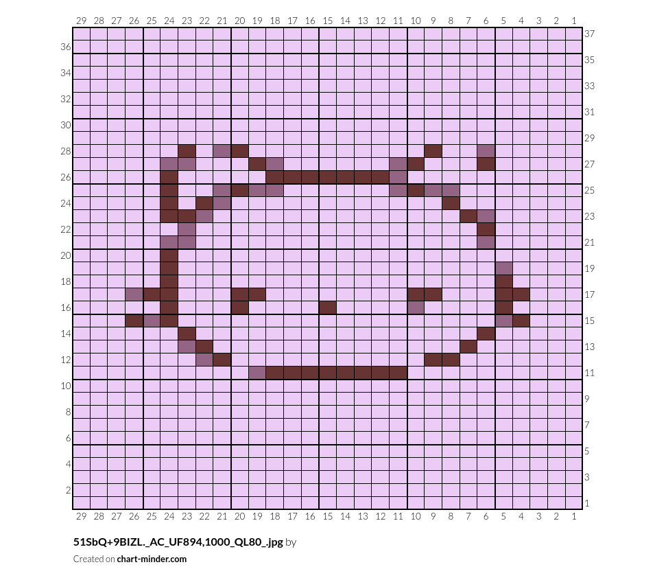 51SbQ+9BIZL._AC_UF894,1000_QL80_.jpg