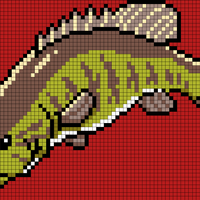 Copy of Copy of bassafrass