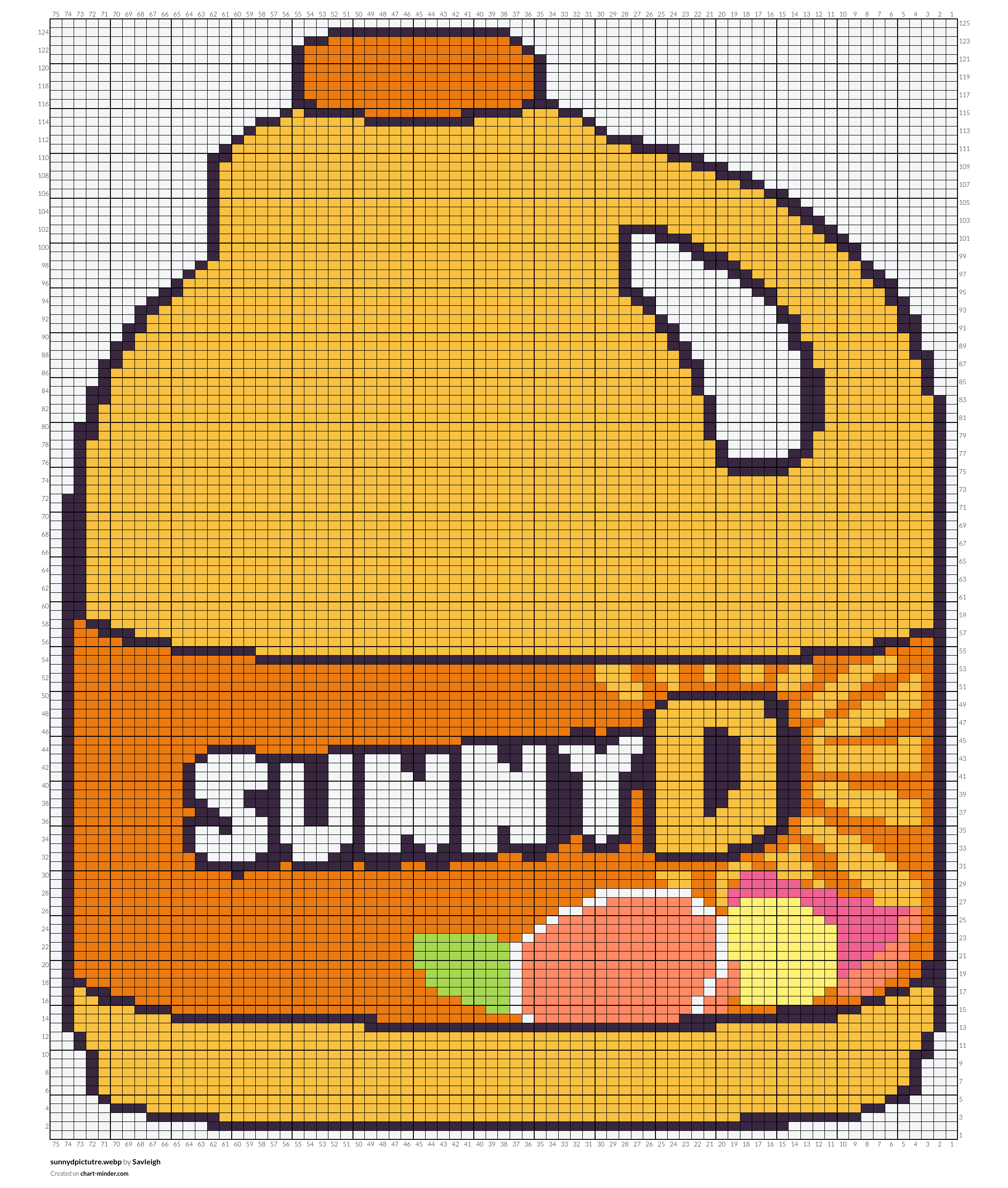 sunnydpictutre.webp