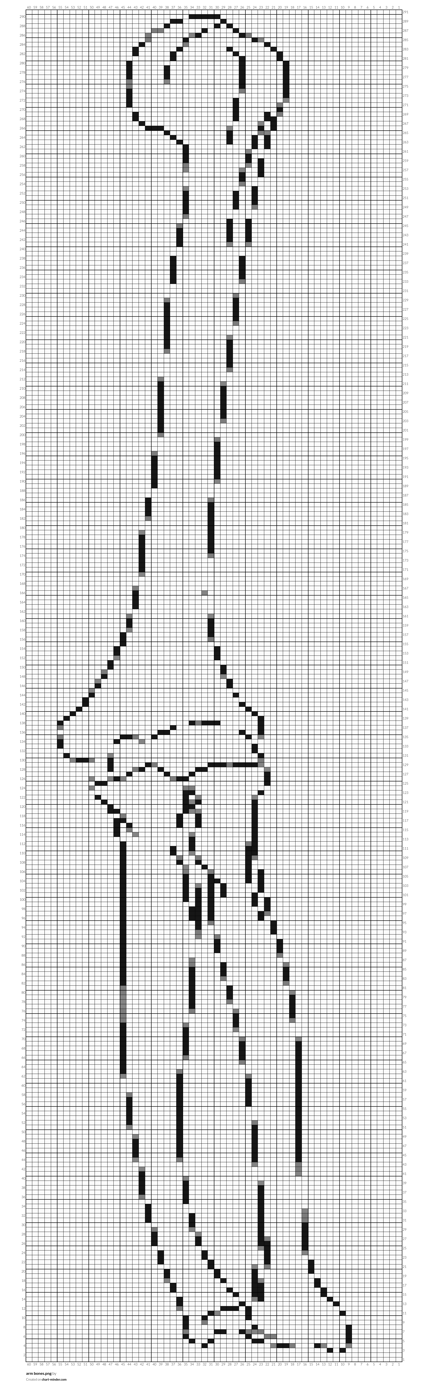 arm bones.png