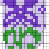 Copy of iris