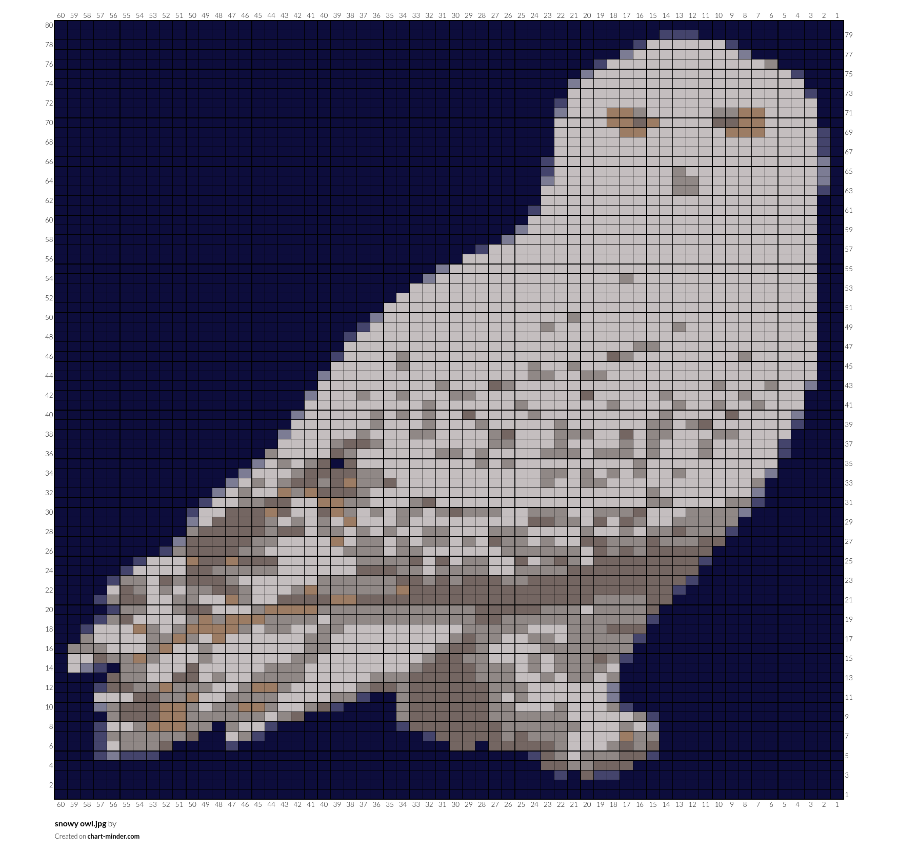 snowy owl.jpg