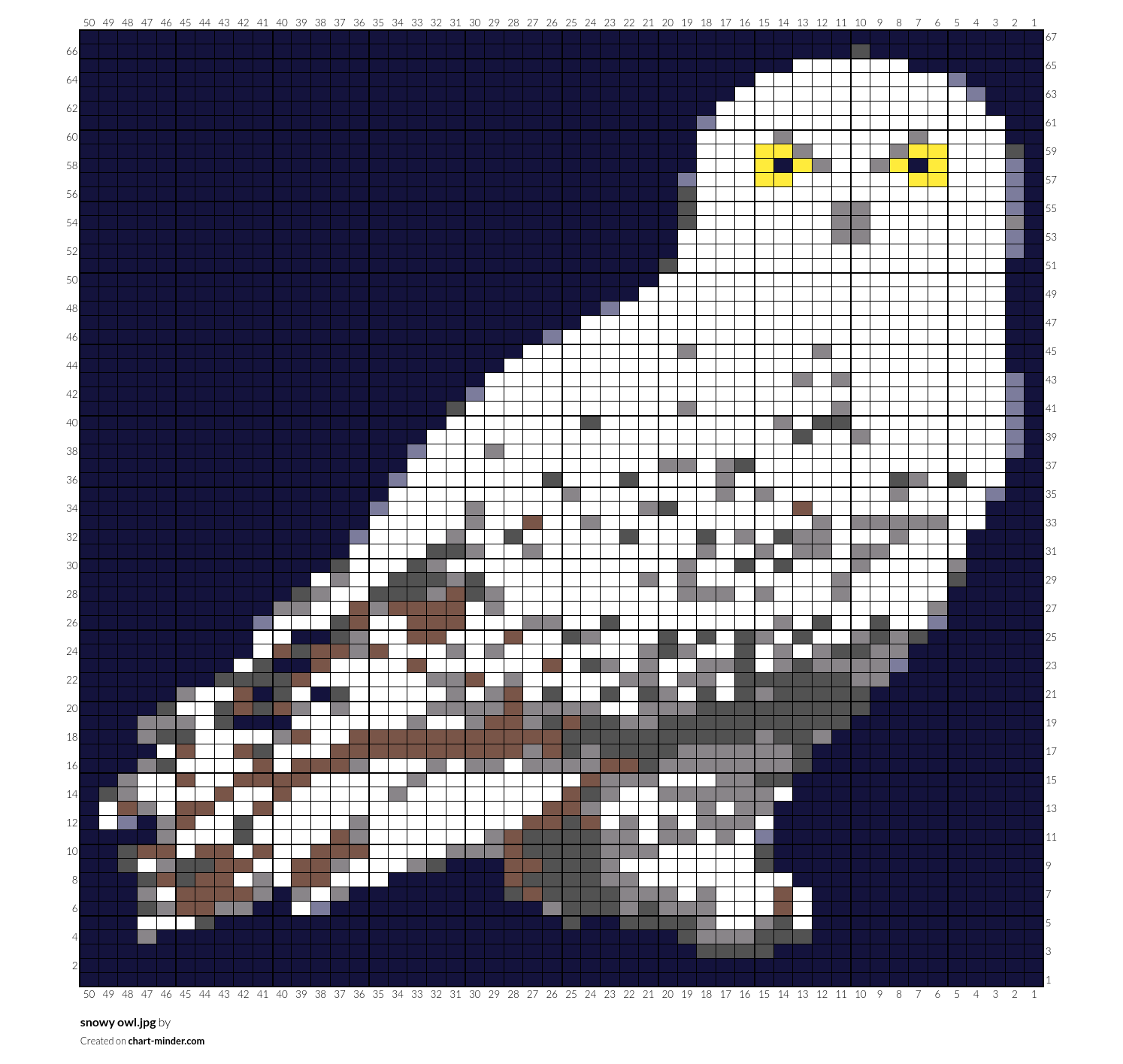 snowy owl.jpg