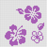 Hibiscus Alt