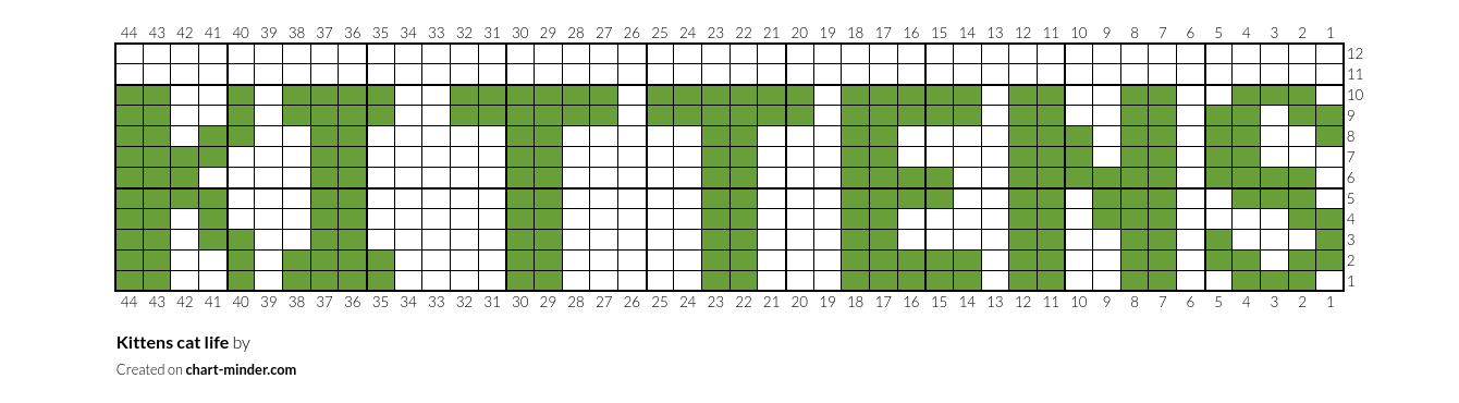 Kittens cat life