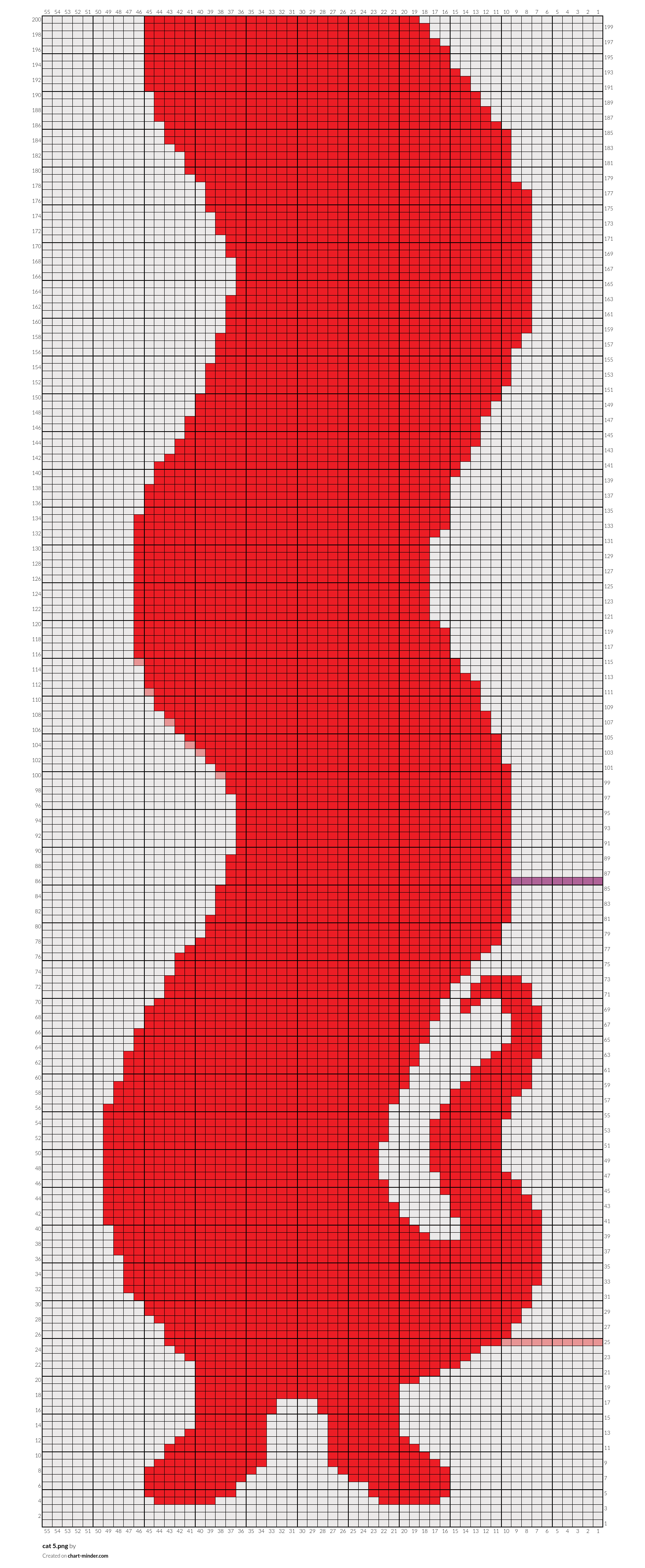 cat 5.png