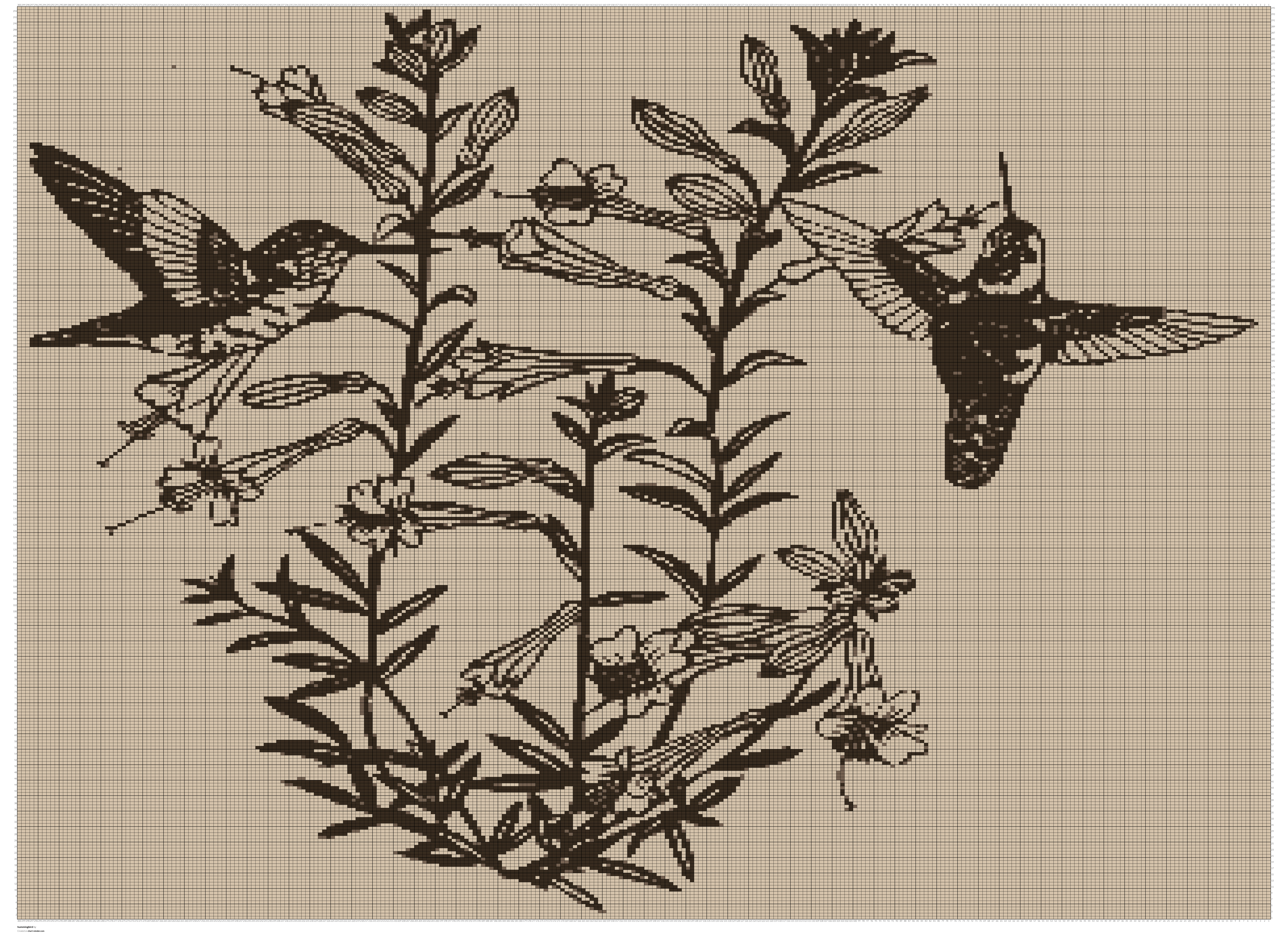 hummingbird