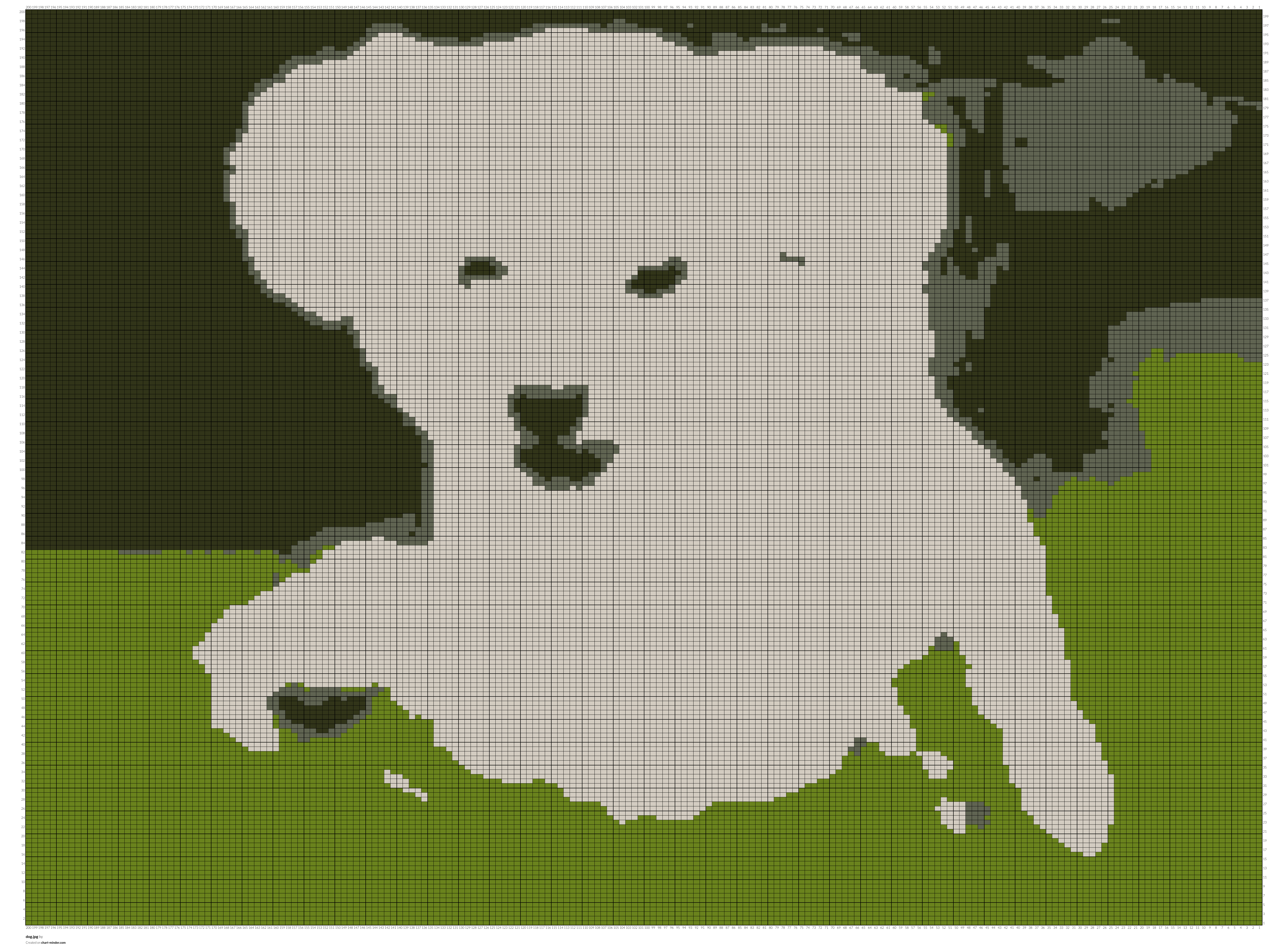 dog.jpg