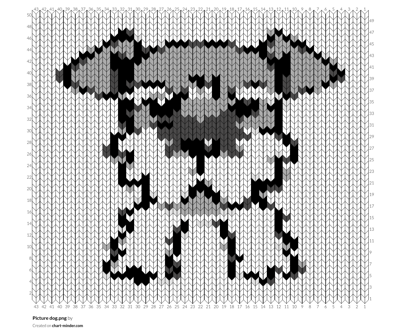 Picture dog.png