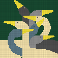 Copy of Ducks