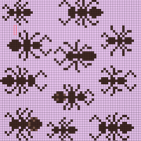 ANTS!!!!!!