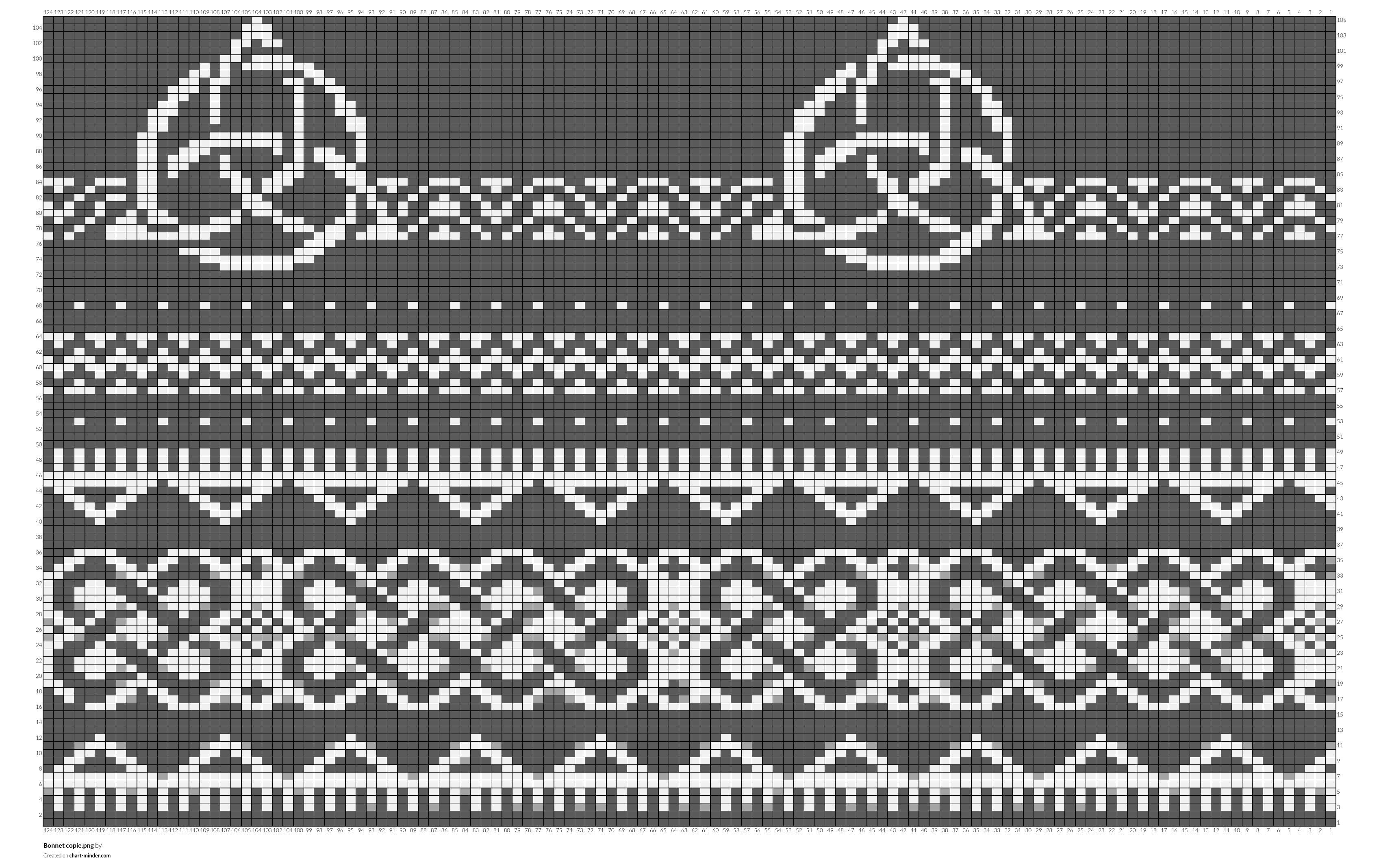 Bonnet copie.png