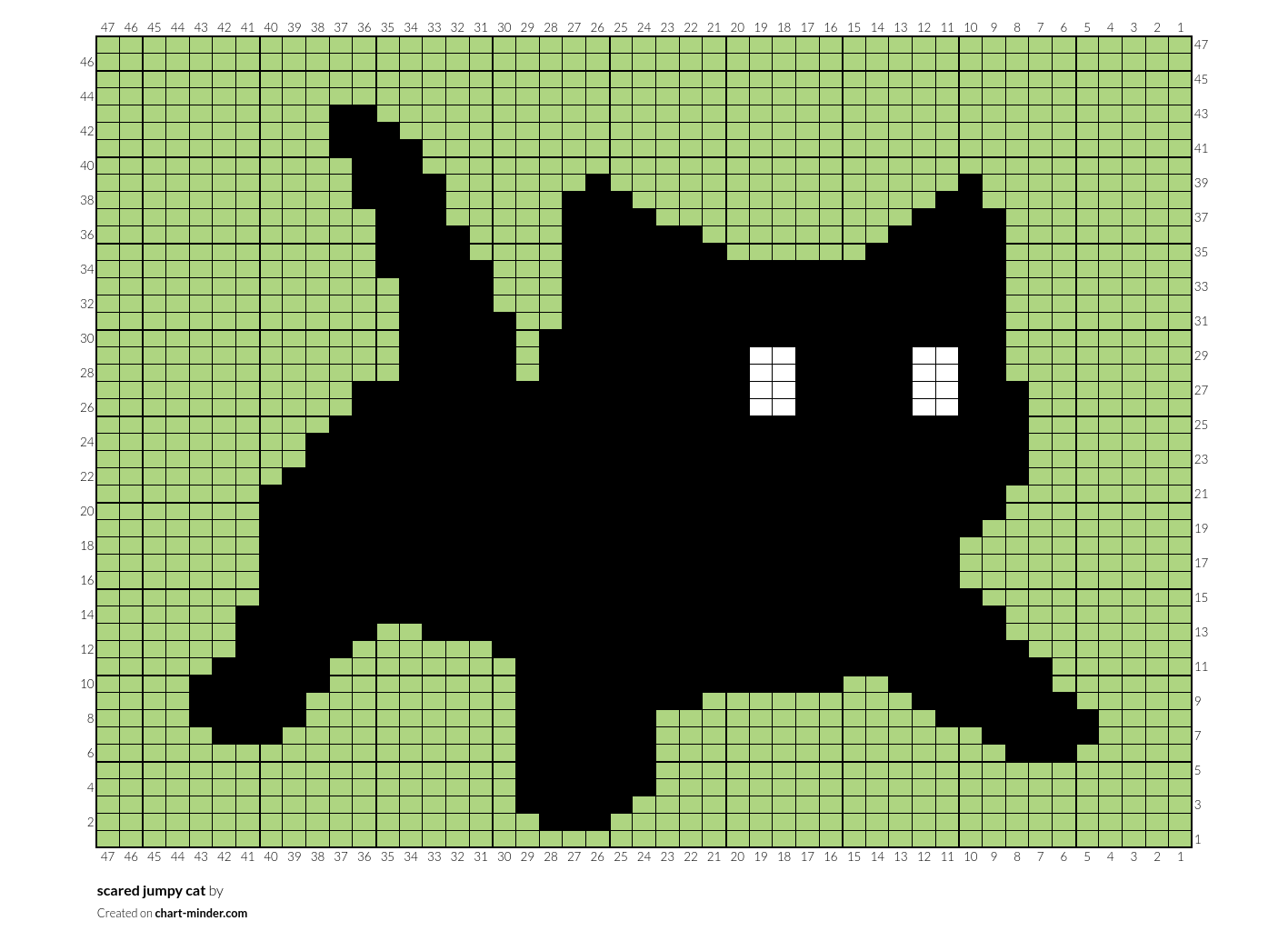 scared jumpy cat 
