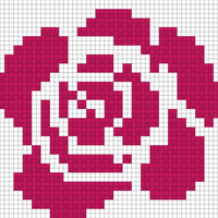 Aminah's Rose