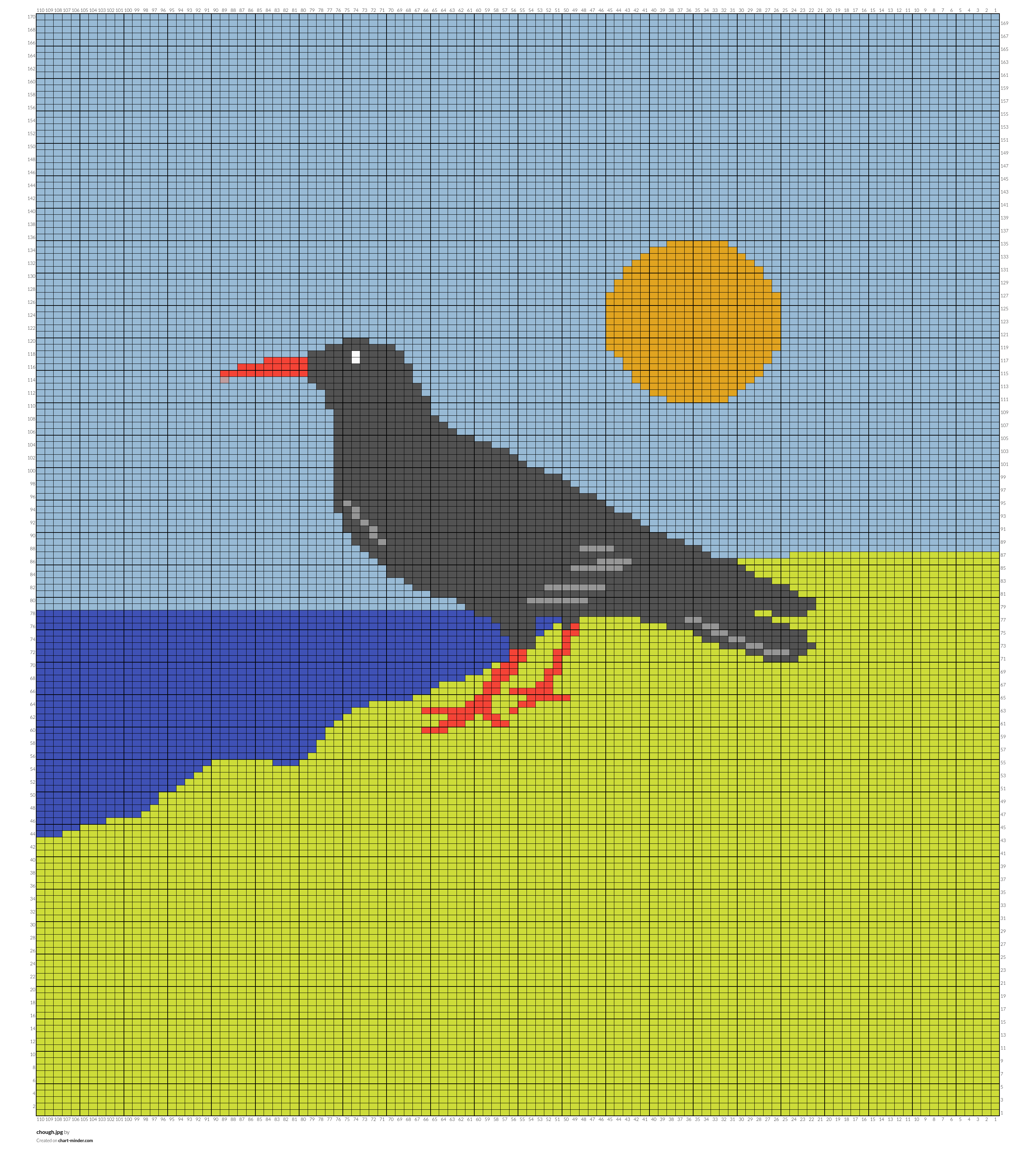 chough.jpg