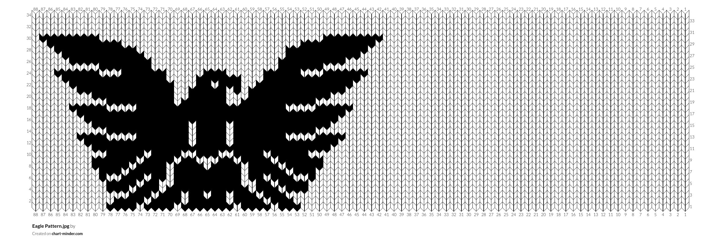 Eagle Pattern.jpg
