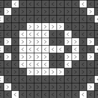 longer version of skull with pattern