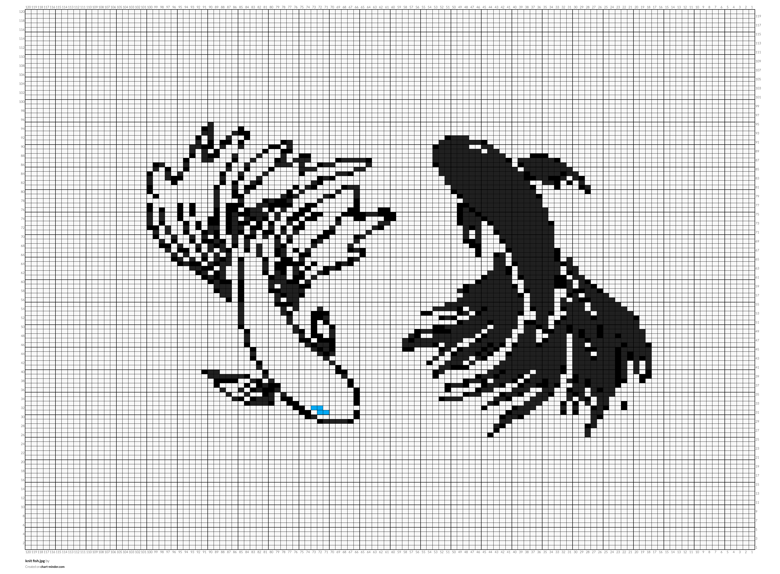 knit fish.jpg