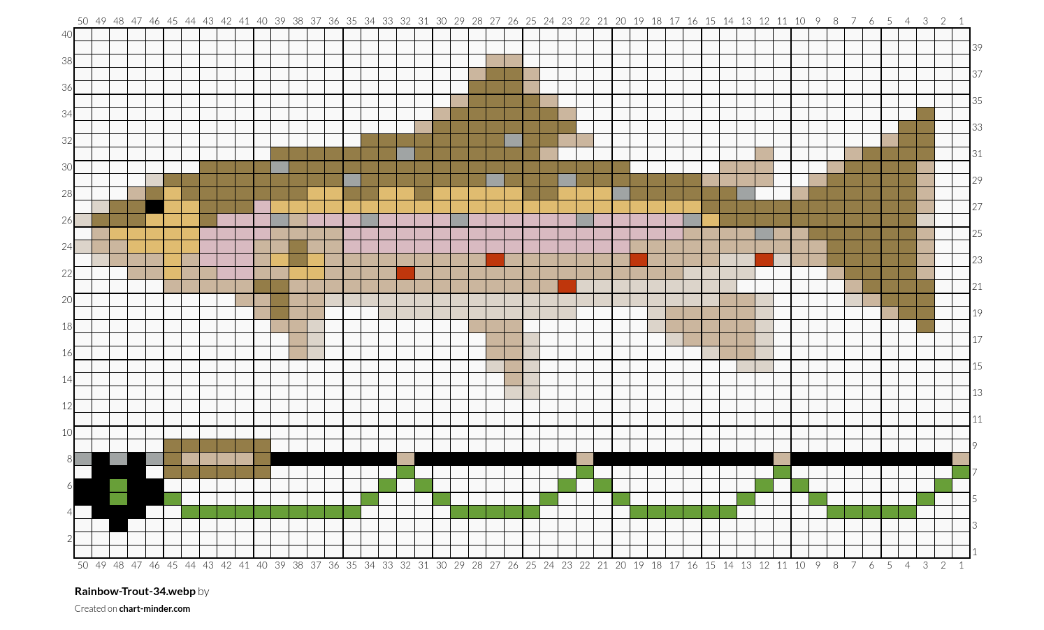 Rainbow-Trout-34.webp