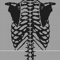 Human-skeleton-trunk-back-Graphics-38189408-1-580x387-removebg-preview.png