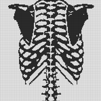 Human-skeleton-trunk-back-Graphics-38189408-1-580x387-removebg-preview.png