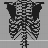 Human-skeleton-trunk-back-Graphics-38189408-1-580x387-removebg-preview.png