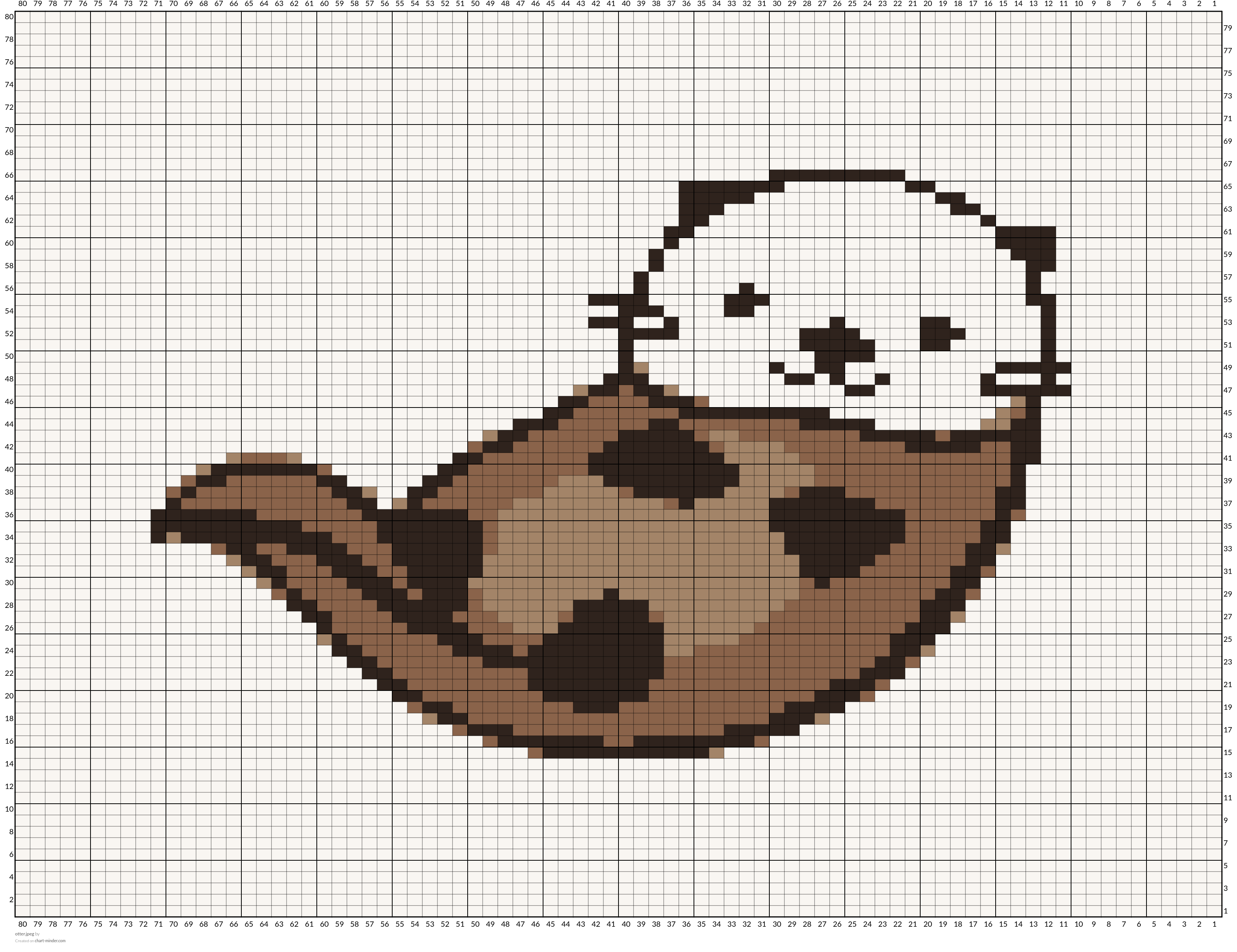 otter.jpeg