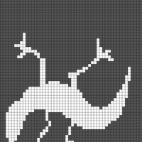 Copy of salamander