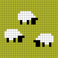 sheep