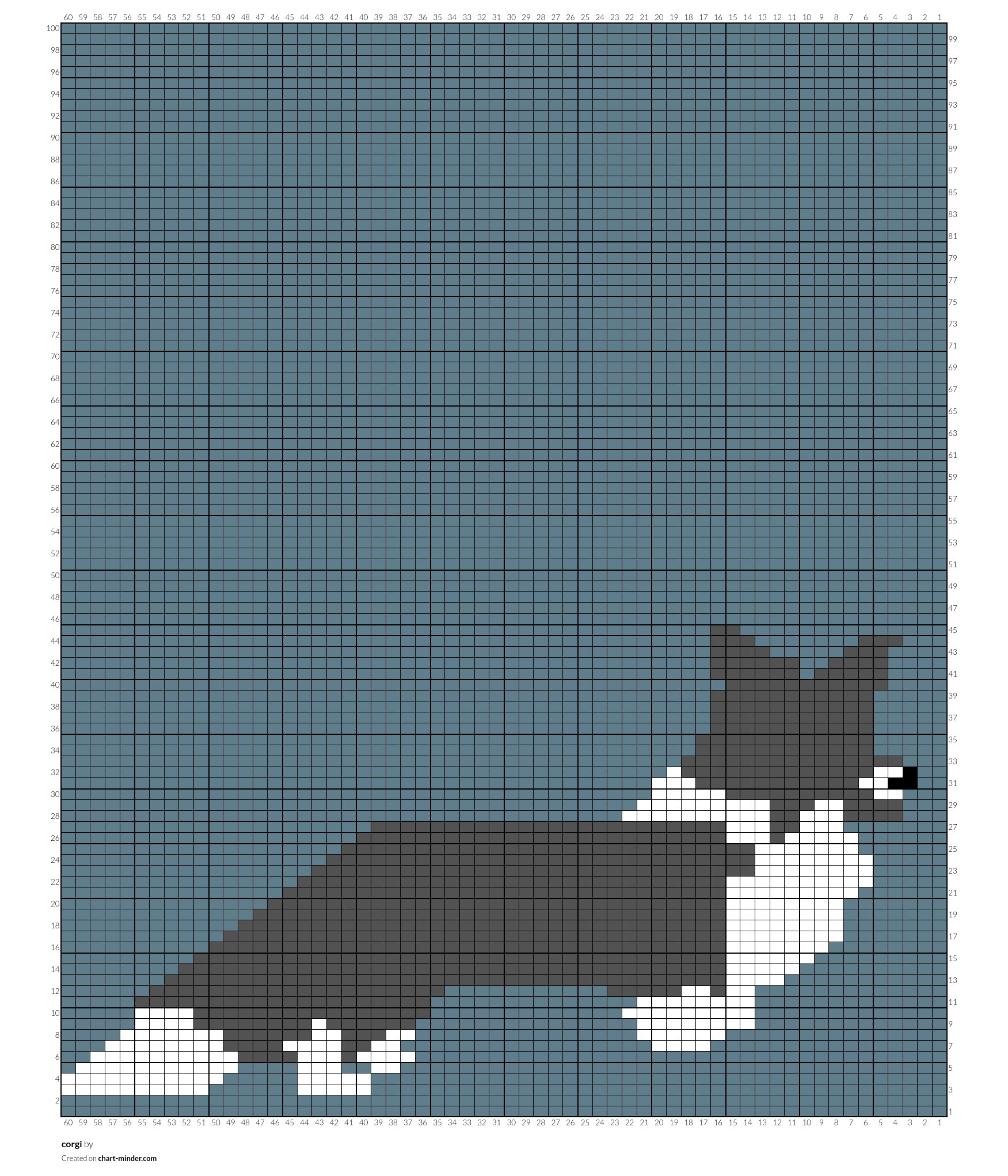 corgi
