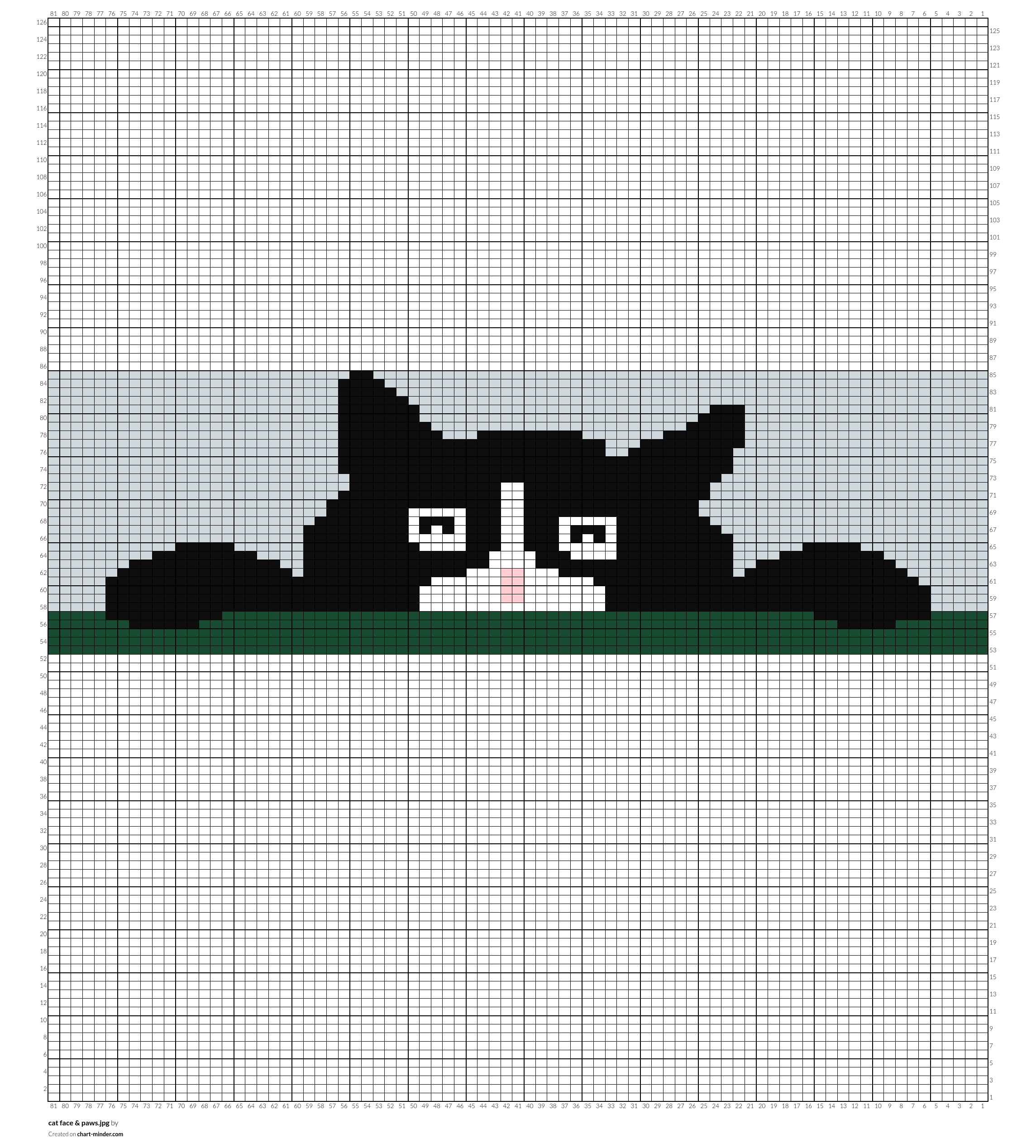 cat face & paws.jpg