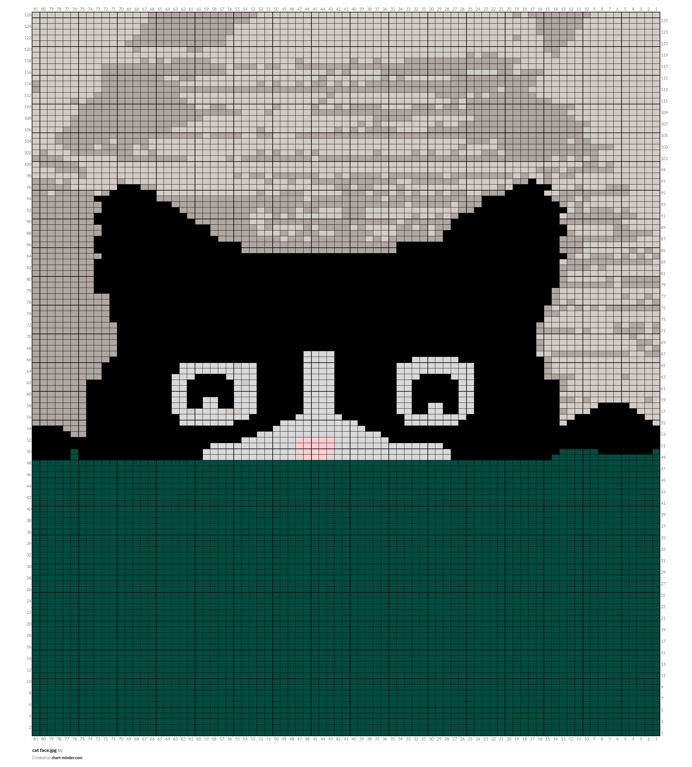 cat face.jpg