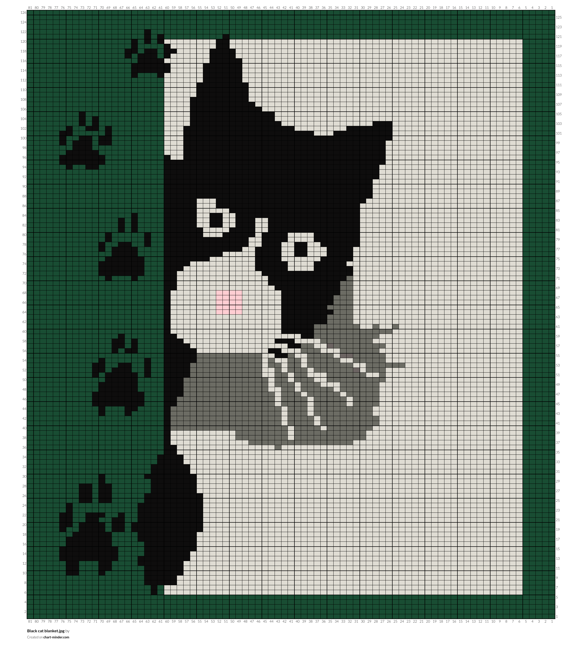 Black cat blanket.jpg