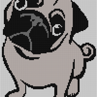 Copy of Pug