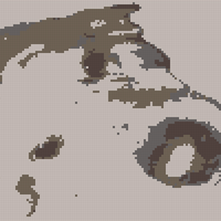 Copy of 20240226_202121.png